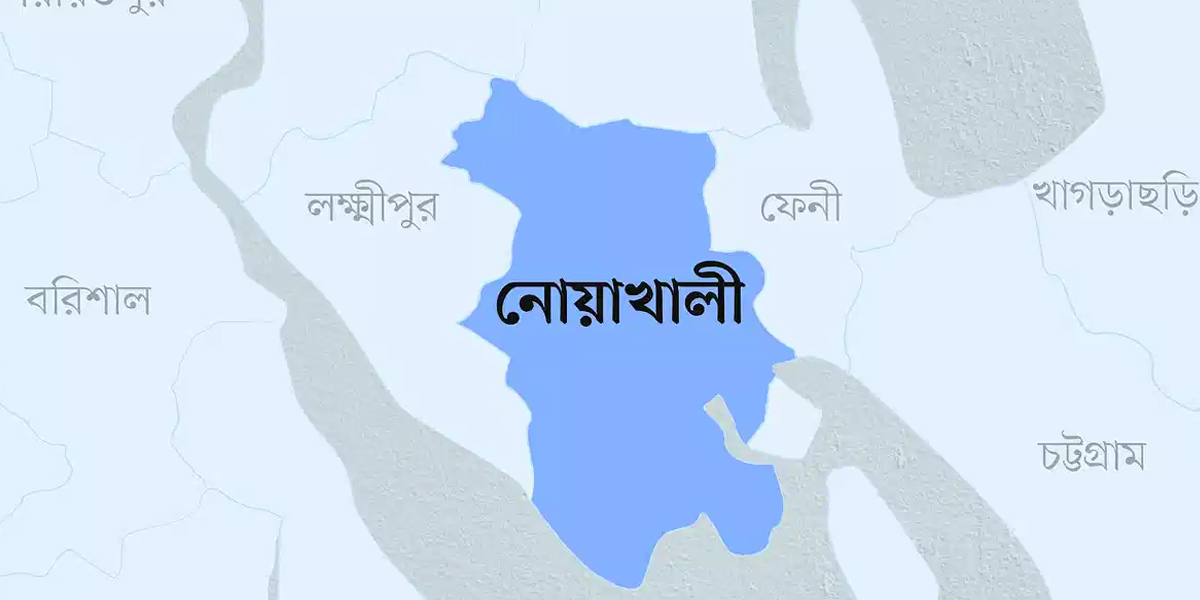 নোয়াখালীতে বিএনপির মিছিলে হামলা, গুলিবিদ্ধসহ আহত ৩০